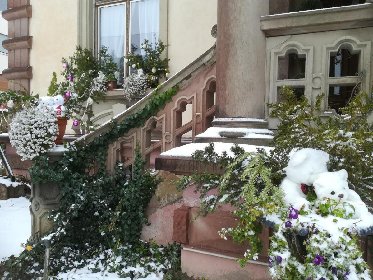 Hotel Castelnau à Colmar Extérieur photo