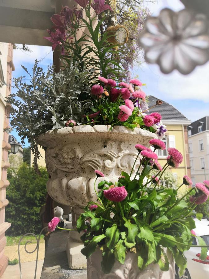 Hotel Castelnau à Colmar Extérieur photo